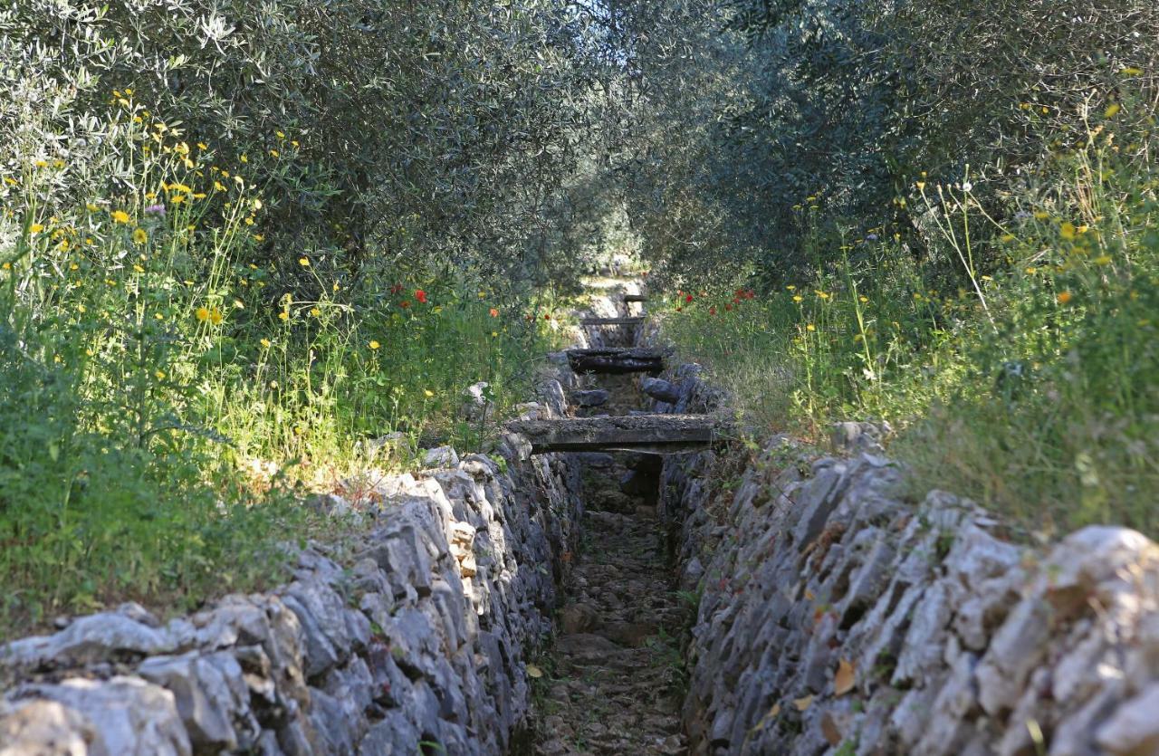 Casale Madeccia Vendégház Sonnino Kültér fotó
